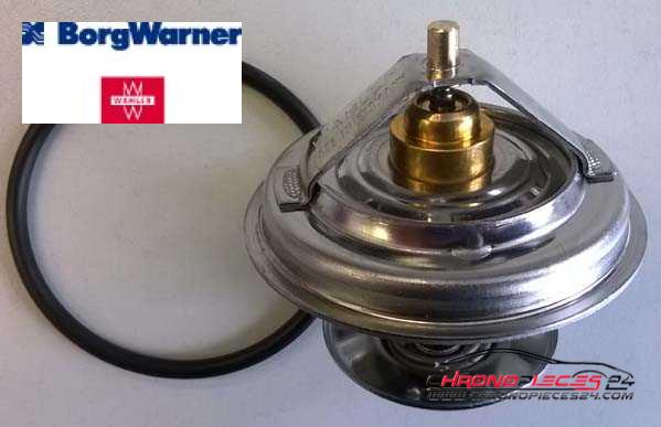 Achat de WAHLER 4105.79D Thermostat d'eau pas chères