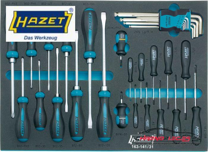 Achat de HAZET 163-141/31 Assortiment de tournevis 31 pièces pas chères