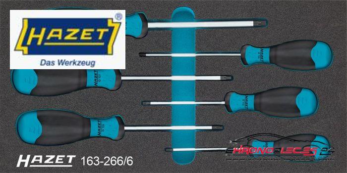 Achat de HAZET 163-266/6 Jeu de tournevis Torx 6 pièces pas chères