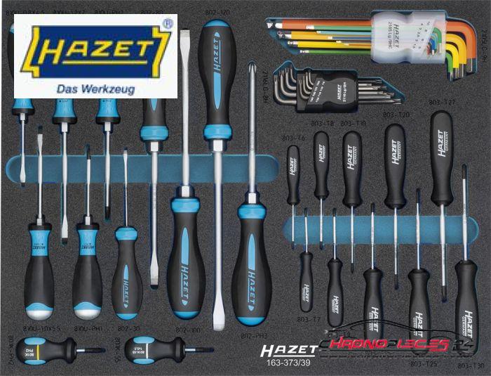 Achat de HAZET 163-373/39 Assortiment de tournevis 39 pièces pas chères