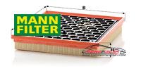 Achat de MANN-FILTER C 29 145 Filtre à air pas chères