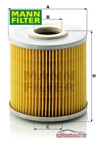 Achat de MANN-FILTER H 1029/1 n Filtre à huile pas chères