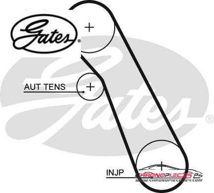 Achat de GATES 5541XS Courroie crantée pas chères