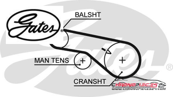 Achat de GATES 5570XS Courroie crantée pas chères