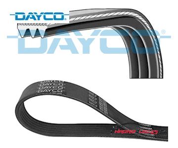 Achat de DAYCO 3PK640 Courroie trapézoïdale à nervures pas chères