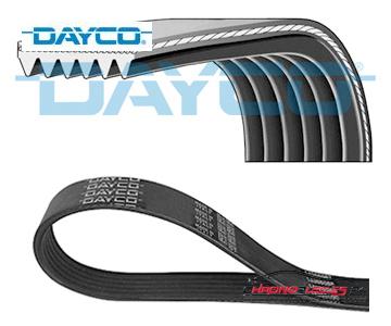 Achat de DAYCO 6PK1217 Courroie trapézoïdale à nervures pas chères