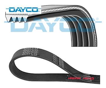 Achat de DAYCO 4PK1005 Courroie trapézoïdale à nervures pas chères