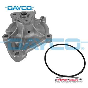 Achat de DAYCO DP286 Pompe à eau pas chères