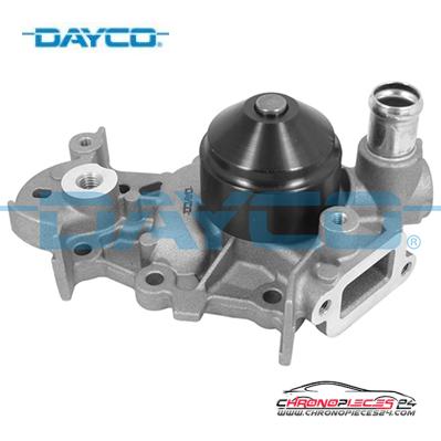 Achat de DAYCO DP045 Pompe à eau pas chères