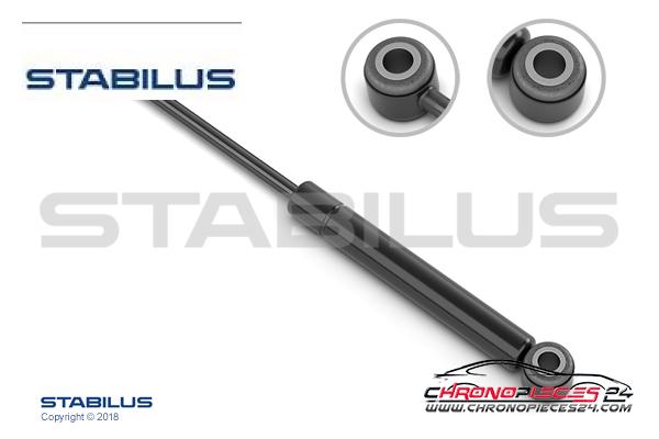 Achat de STABILUS 5754PR Amortisseur de vibrations, courroie trapézoïdale à nervures pas chères