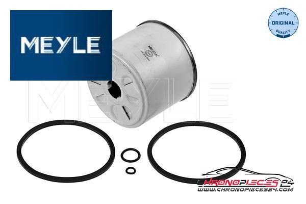 Achat de MEYLE 100 323 0007 Filtre à carburant pas chères