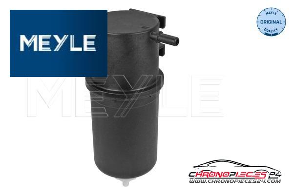 Achat de MEYLE 100 323 0022 Filtre à carburant pas chères