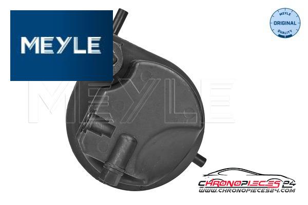 Achat de MEYLE 16-14 323 0000 Filtre à carburant pas chères