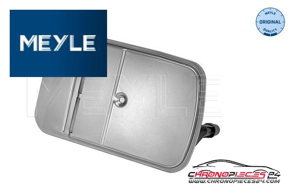 Achat de MEYLE 314 137 0003 Filtre hydraulique, boîte automatique pas chères