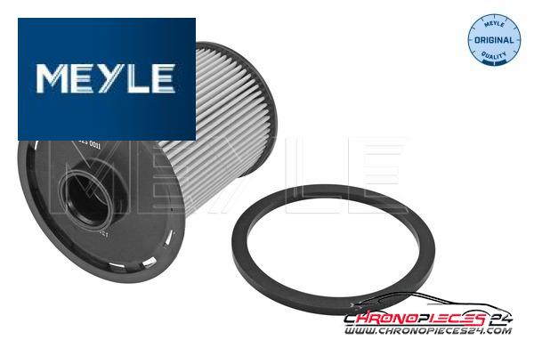 Achat de MEYLE 36-14 323 0011 Filtre à carburant pas chères