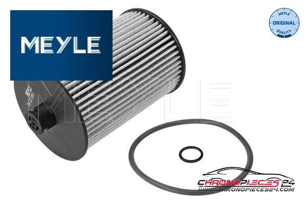 Achat de MEYLE 514 323 0008 Filtre à carburant pas chères