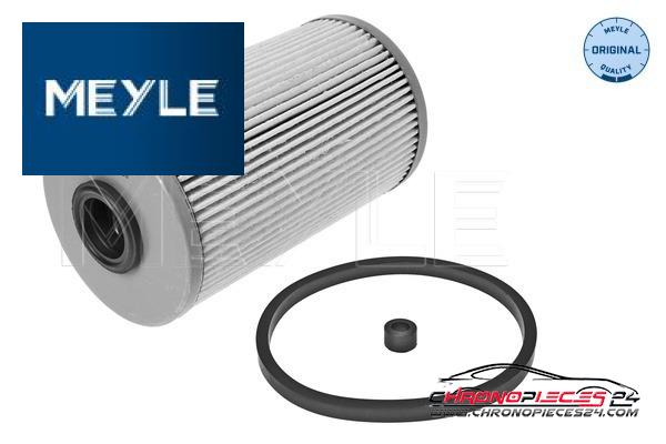 Achat de MEYLE 614 323 0003 Filtre à carburant pas chères