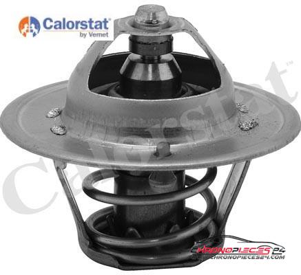 Achat de CALORSTAT BY VERNET TH6313.88J Thermostat d'eau pas chères