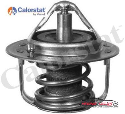 Achat de CALORSTAT BY VERNET TH6737.82J Thermostat d'eau pas chères