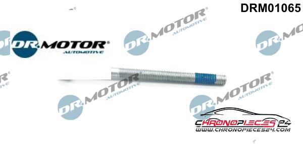 Achat de DR.MOTOR AUTOMOTIVE DRM01065 Vis, support pour contrôleur d'injecteurs  pas chères