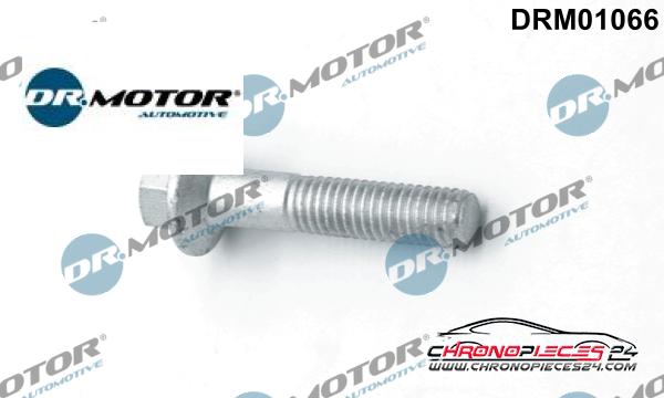 Achat de DR.MOTOR AUTOMOTIVE DRM01066 Vis, support pour contrôleur d'injecteurs  pas chères