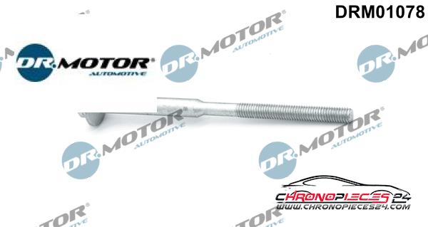 Achat de DR.MOTOR AUTOMOTIVE DRM01078 Vis, support pour contrôleur d'injecteurs  pas chères