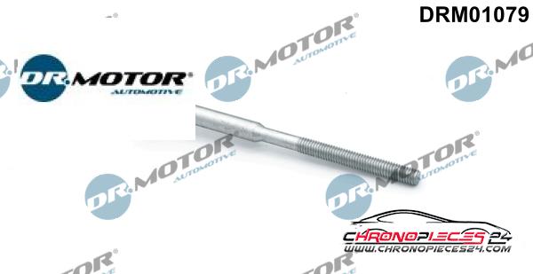 Achat de DR.MOTOR AUTOMOTIVE DRM01079 Vis, support pour contrôleur d'injecteurs  pas chères