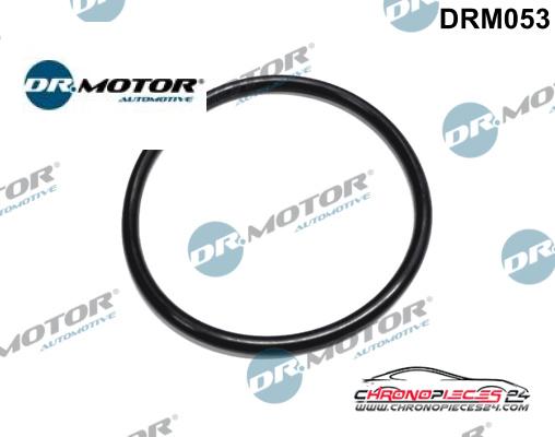 Achat de DR.MOTOR AUTOMOTIVE DRM053 Joint d'étanchéité, filtre de carburant  pas chères