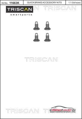 Achat de TRISCAN 8105 116004 Vis, disque de frein  pas chères