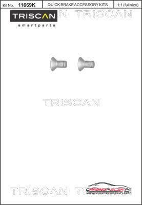 Achat de TRISCAN 8105 116010 Vis, disque de frein  pas chères