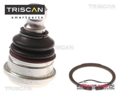 Achat de TRISCAN 8500 43521 Rotule de suspension pas chères