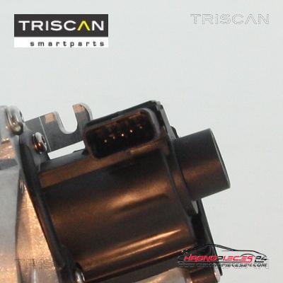 Achat de TRISCAN 8813 10007 Vanne EGR pas chères