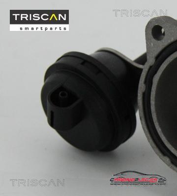 Achat de TRISCAN 8813 29057 Vanne EGR pas chères