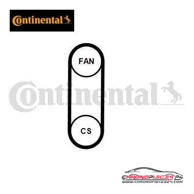 Achat de CONTINENTAL CTAM 4PK711 ELAST Courroie trapézoïdale à nervures pas chères