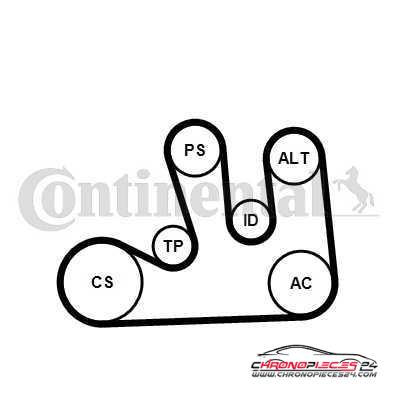 Achat de CONTITECH 5PK1750K1 Jeu de courroies trapézoïdales à nervures pas chères