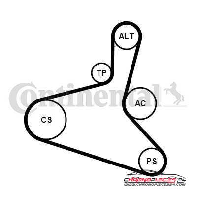 Achat de CONTITECH 6DPK1195K1 Jeu de courroies trapézoïdales à nervures pas chères