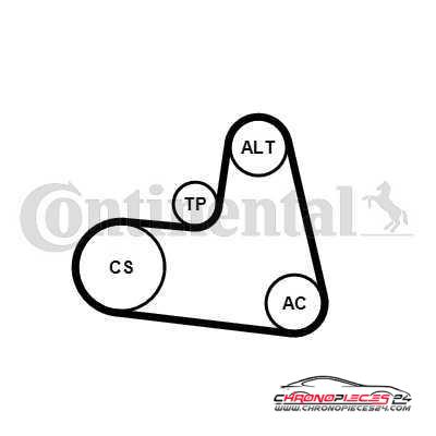 Achat de CONTITECH 6PK1217K1 Jeu de courroies trapézoïdales à nervures pas chères