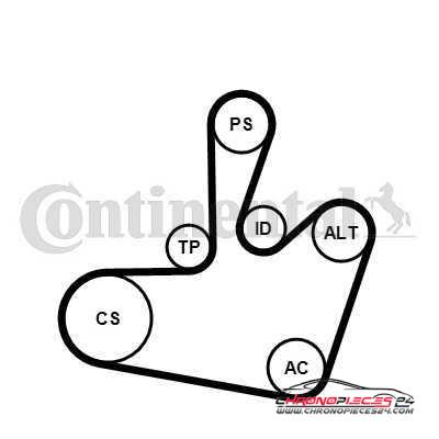Achat de CONTITECH 6PK1548K1 Jeu de courroies trapézoïdales à nervures pas chères