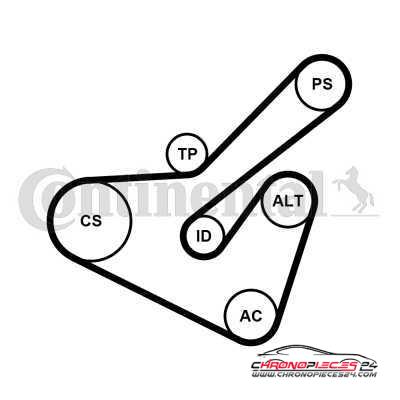 Achat de CONTITECH 6PK1725K2 Jeu de courroies trapézoïdales à nervures pas chères