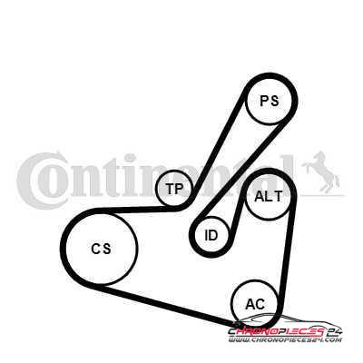 Achat de CONTITECH 6PK1750K1 Jeu de courroies trapézoïdales à nervures pas chères