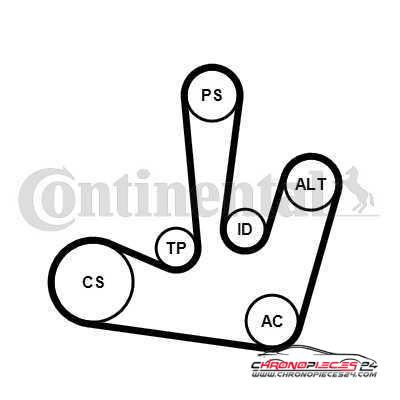 Achat de CONTITECH 6PK1795K1 Jeu de courroies trapézoïdales à nervures pas chères