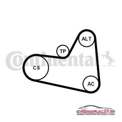 Achat de CONTITECH 6PK976K1 Jeu de courroies trapézoïdales à nervures pas chères