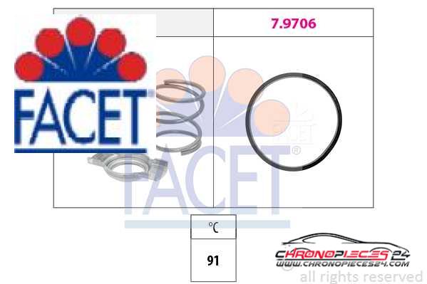 Achat de FACET 7.8995 Thermostat d'eau pas chères